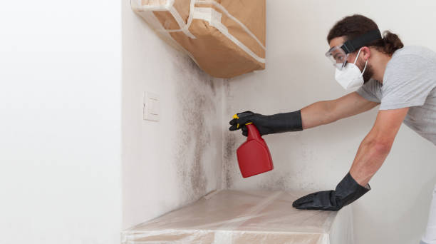 Professional Attic Mold Remediation technician working in Augusta, MI