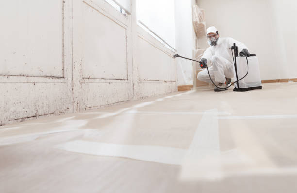24/7 Emergency Attic Mold Remediation experts in Augusta, MI